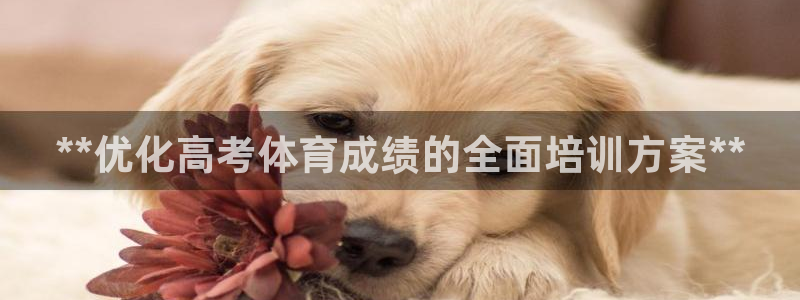 极悦官方网站入口网址大全：**优化高考体育成绩的全面