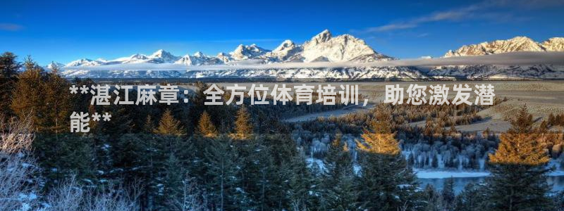 加盟极悦教育多少钱：**湛江麻章：全方位体育培训，助