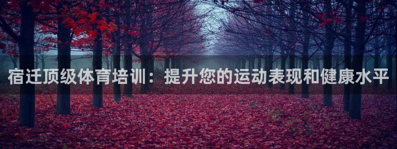 极悦平台官方网站入口链接下载：宿迁顶级体育培训：提升
