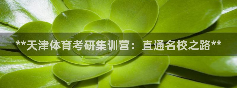极悦娱乐会被骗吗知乎小说：**天津体育考研集训营：直