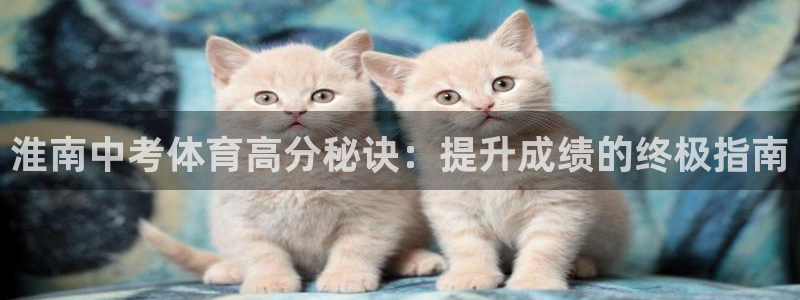 极悦娱乐的最新版本更新内容是什么：淮南中考体育高分秘