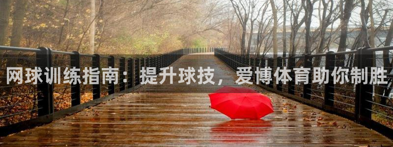 极悦平台用户评价怎么样：网球训练指南：提升球技，爱博
