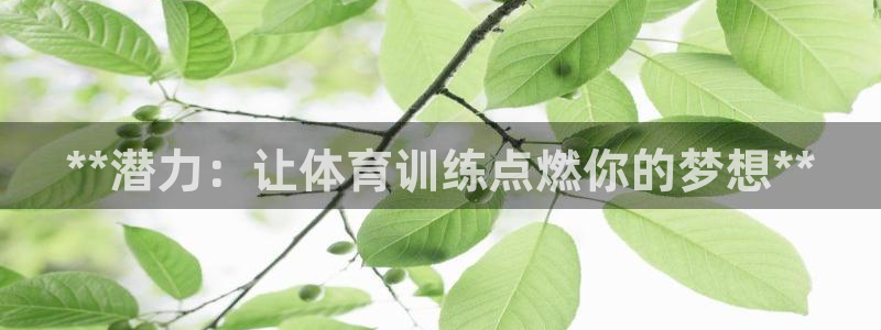 极悦平台安全吗：**潜力：让体育训练点燃你的梦想**