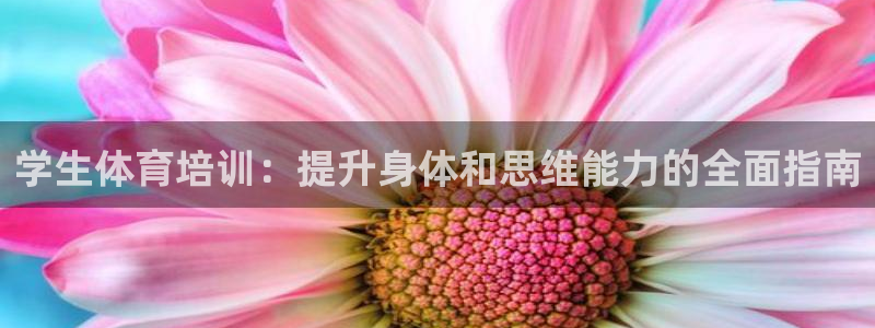 极悦娱乐公司最新招聘信息网