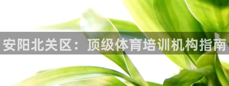 极悦平台方7O777：安阳北关区：顶级体育培训机构指