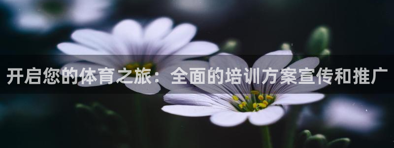 极悦平台平台注册方法与步骤视频：开启您的体育之旅：全