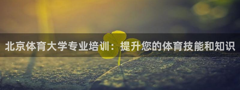 极悦娱乐创始人背景故事简介：北京体育大学专业培训：提