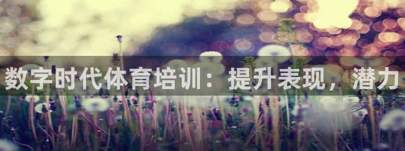 极悦平台平台注册方法与步骤：数字时代体育培训：提升表