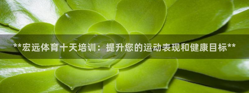 极悦平台官方网站首页下载：**宏远体育十天培训：提升