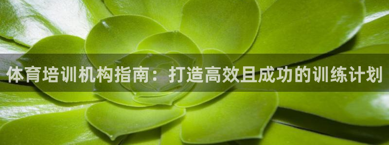 极悦官网旗舰店地址：体育培训机构指南：打造高效且成功
