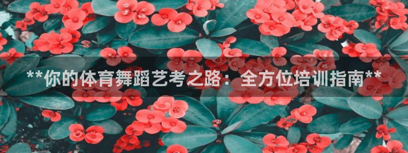 极悦平台注册申请流程详解图：**你的体育舞蹈艺考之路