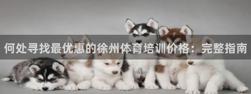 极悦平台使用教程视频：何处寻找最优惠的徐州体育培训价
