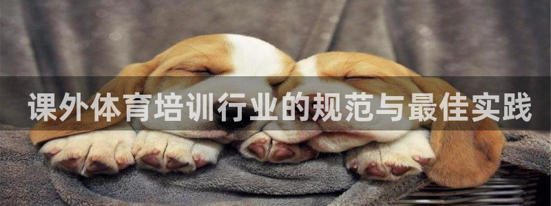 极悦平台用户反馈和反馈： 课外体育培训行业的规范与最