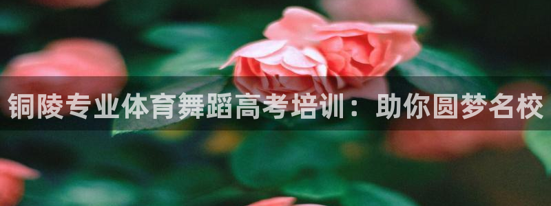 极悦平台是什么平台的：铜陵专业体育舞蹈高考培训：助你
