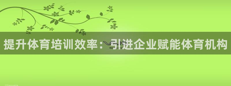 极悦平台注册失败如何解决呢：提升体育培训效率：引进企
