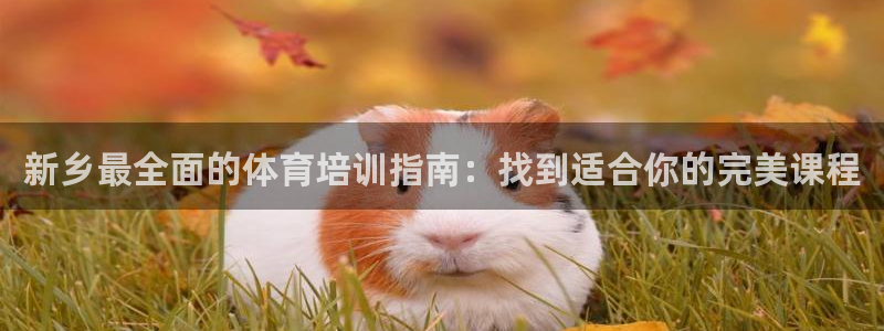 极悦平台客服的联系方式是多少：新乡最全面的体育培训指