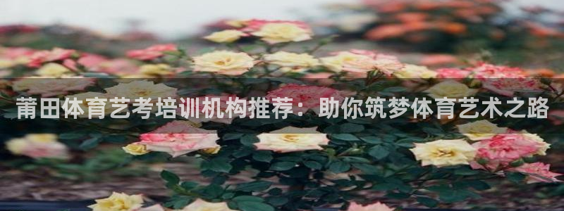 极悦娱乐官网客服联系方式是什么：莆田体育艺考培训机构