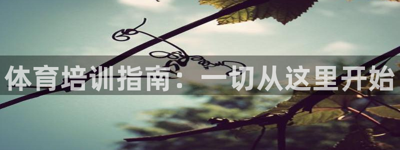 极悦平台平台注册方法与步骤图：体育培训指南：一切从这