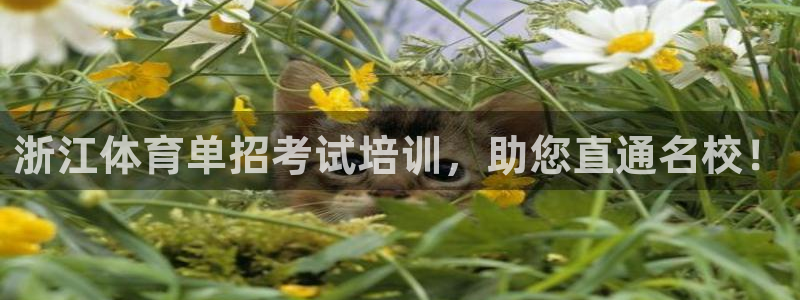 极悦平台注册用户名验证：浙江体育单招考试培训，助您直