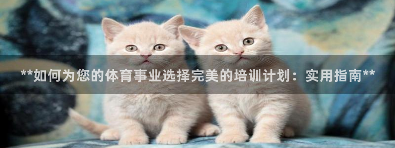 极悦娱乐挂机赚钱是真的吗吗：**如何为您的体育事业选
