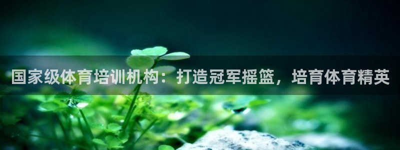 极悦平台注册流程详解图：国家级体育培训机构：打造冠军
