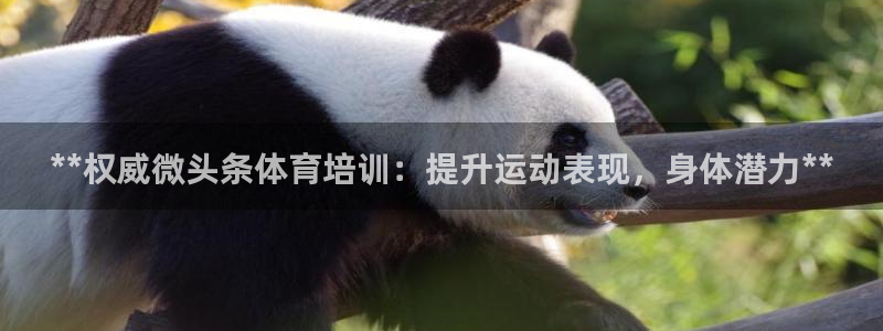 极悦娱乐代理人是谁啊：**权威微头条体育培训：提升运
