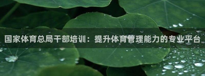 极悦娱乐官方网站：国家体育总局干部培训：提升体育管理