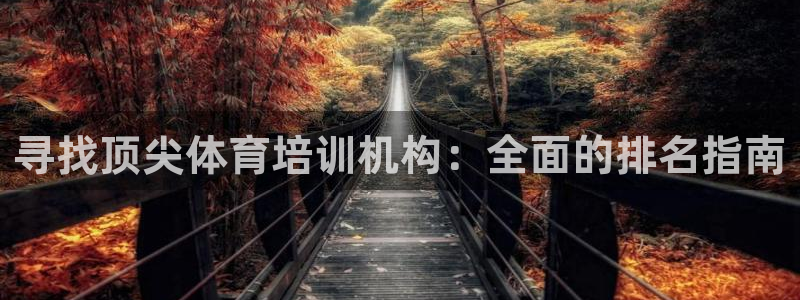 极悦平台注册失败如何解决：寻找顶尖体育培训机构：全面