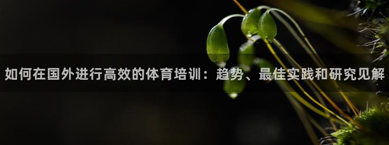 极悦娱乐公司最新招聘信息电话：如何在国外进行高效的体