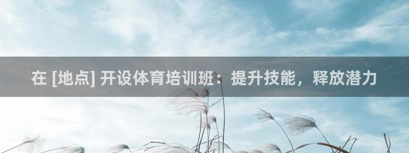 极悦娱乐负责人是谁：在 [地点] 开设体育培训班：提