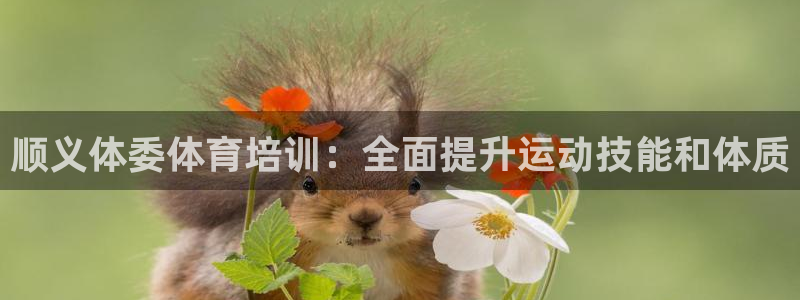 极悦平台基7O777：顺义体委体育培训：全面提升运动