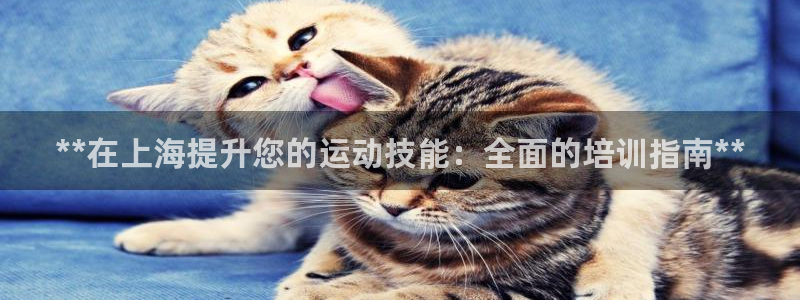 极悦平台是干什么的：**在上海提升您的运动技能：全面