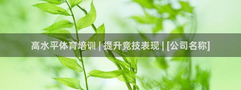 极悦平台官网登录不了怎么回事：高水平体育培训 | 提