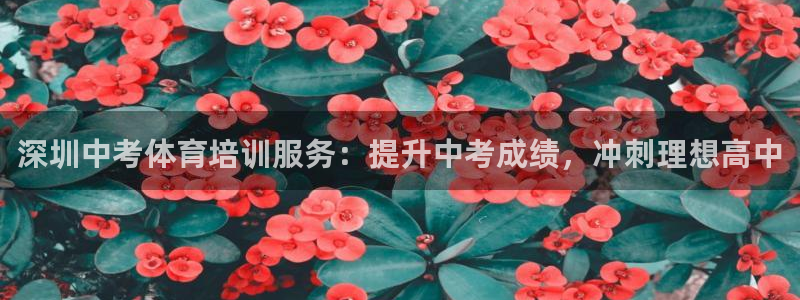 极悦官网首页登录入口网站：深圳中考体育培训服务：提升