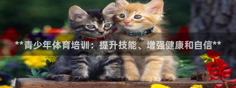极悦平台官方网站首页入口：**青少年体育培训：提升技