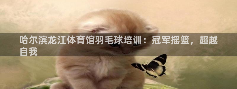 极悦平台是干嘛的啊：哈尔滨龙江体育馆羽毛球培训：冠军