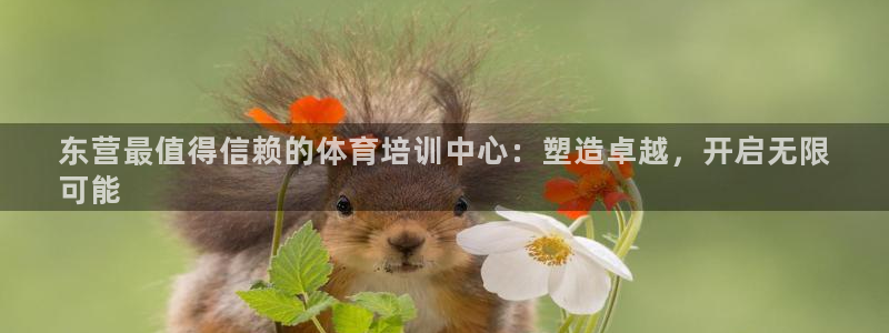 极悦平台注册登录入口在哪：东营最值得信赖的体育培训中