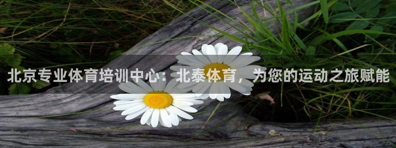 极悦平台德711.112的更新内容：北京专业体育培训