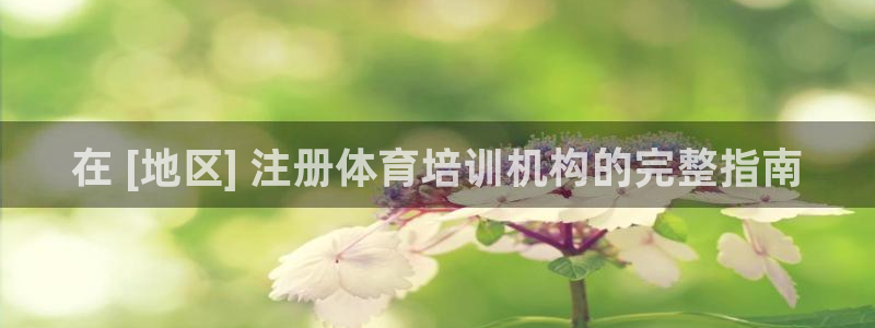 极悦娱乐负责人是谁：在 [地区] 注册体育培训机构的