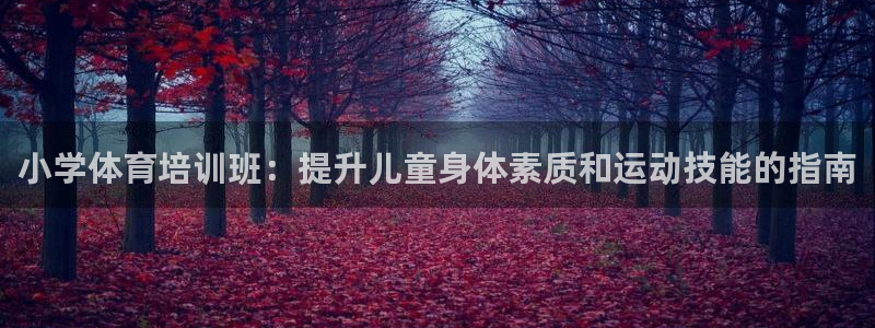 极悦平台官方网站入口链接下载：小学体育培训班：提升儿