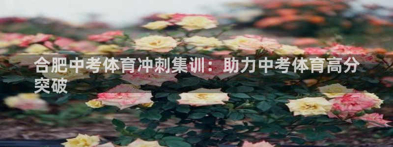 极悦平台注册登录入口：合肥中考体育冲刺集训：助力中考