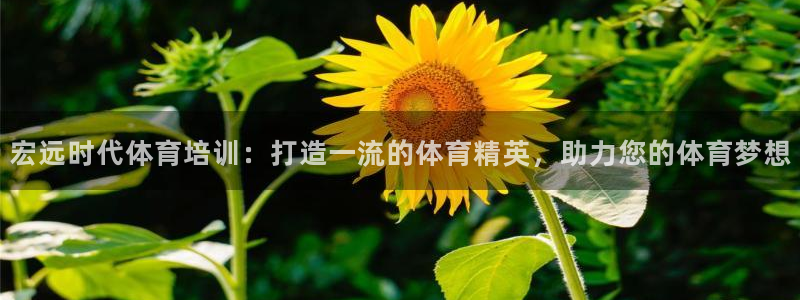 极悦平台app安全吗可靠吗：宏远时代体育培训：打造一