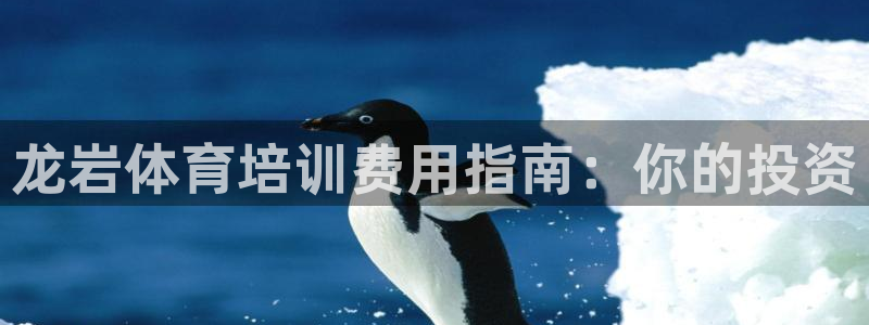 极悦平台城7O777：龙岩体育培训费用指南：你的投资