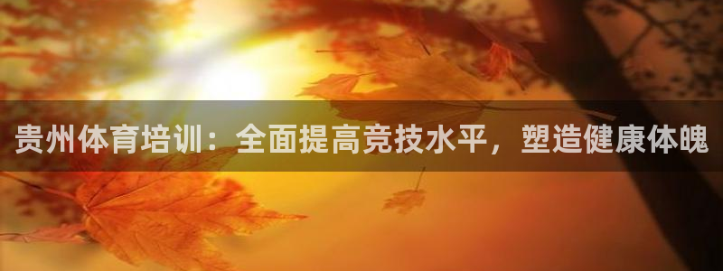 极悦官网首页登录入口下载：贵州体育培训：全面提高竞技