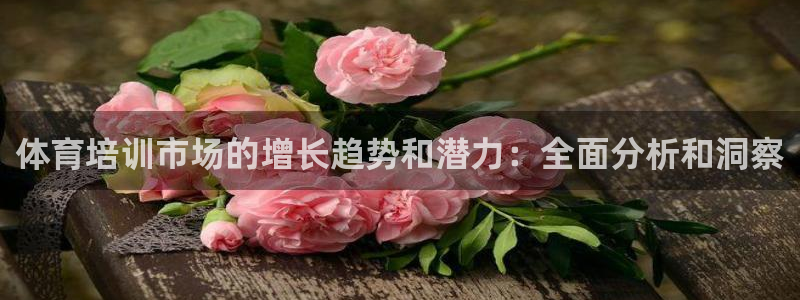 极悦娱乐官方网站下载：体育培训市场的增长趋势和潜力：