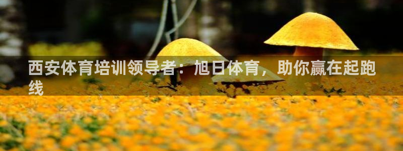 极悦平台注册官方网站下载安卓手机：西安体育培训领导者