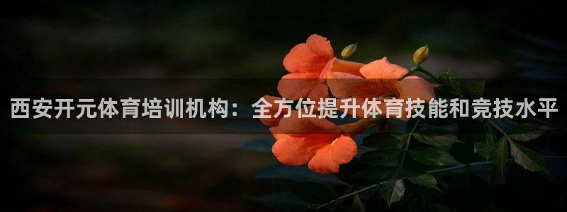 极悦平台注册用户名生成器：西安开元体育培训机构：全方