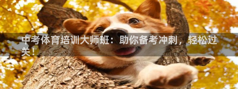 极悦平台官方网站首页下载：中考体育培训大师班：助你备