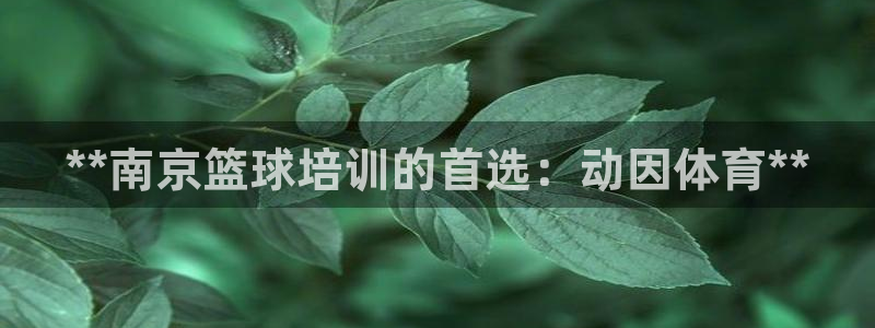 极悦平台是干嘛的：**南京篮球培训的首选：动因体育*