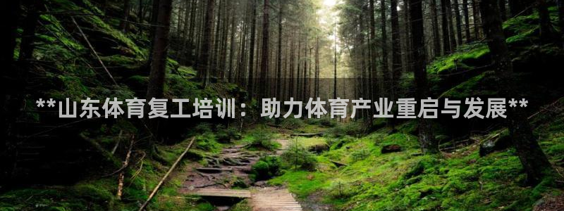 极悦平台注册流程：**山东体育复工培训：助力体育产业
